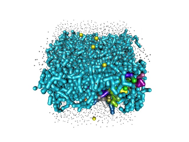 Coarse grain model dynamics