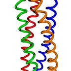 snare_tube_cell