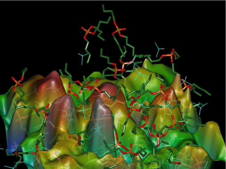 Repr�sentation de l'interface eau/chlorforme en pr�sence de TBP.