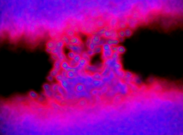 
	  A volumetric rendering depicting water density
	  around an iron transport protein embedded in a membrane.
	