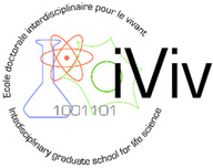 iViv Logo