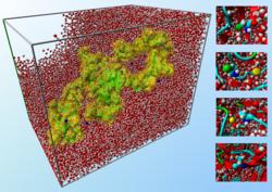 
	      A graphic depicting a simulation box of the low density lipoprotein receptor in water on the left and some common mutations
		on the right.
	    