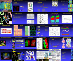 
	      A collage of several Ompla presentation foils.
	      
	    