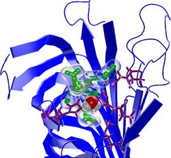 
	      A view inside the active site of the refined
	      complex between outer membrane enzyme Ompt and the
	      substrate ARRA.
	    