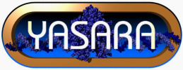 Yasara Biosciences Logo