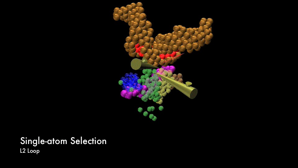 RecA/double-stranded DNA docking application by Amourda & Prevost (11/9/2009)