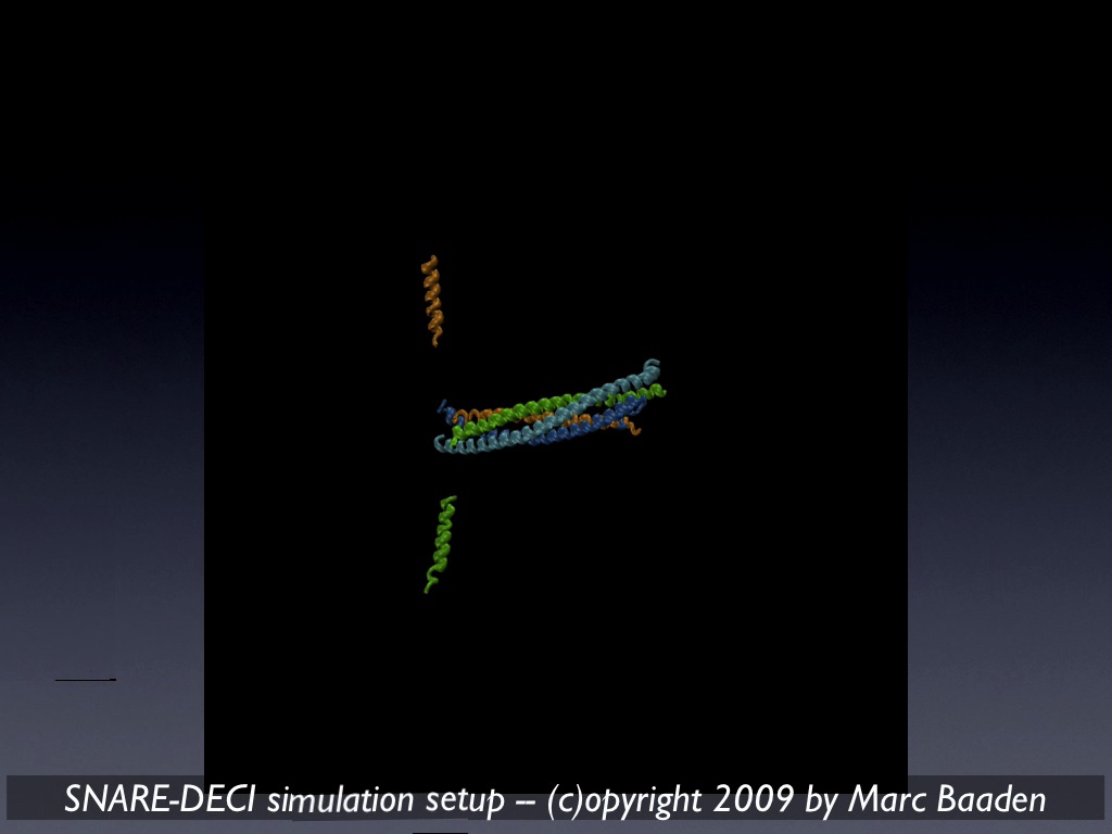 Setting up the DECI simulation.