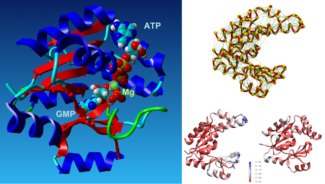 Substrate-loaded Guanylate Kinase