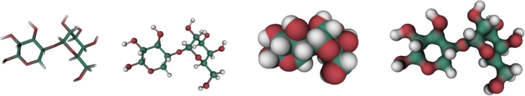 metaphorex1