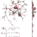 cytoscape_network